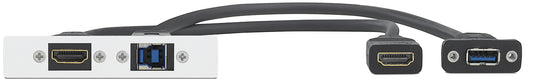 Extron One HDMI Female, One USB A 3.2 Female to USB B Female on Pigtails