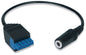 Extron CSM 6