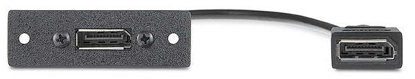 Extron One DisplayPort Female to One DisplayPort Female on 10" Pigtail RETIRED